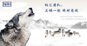 午夜AV福利影视的团队精神
